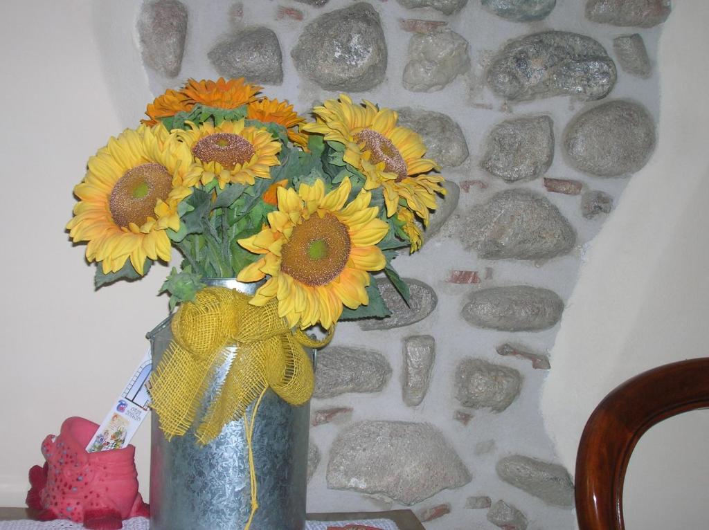 Agriturismo Colombarola 소나 외부 사진