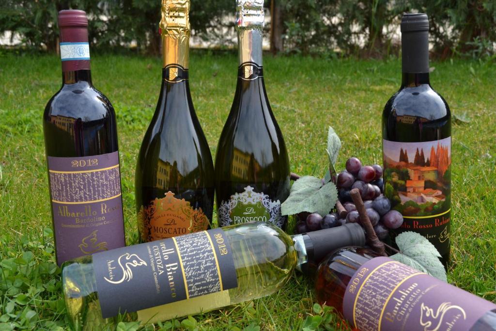 Agriturismo Colombarola 소나 외부 사진
